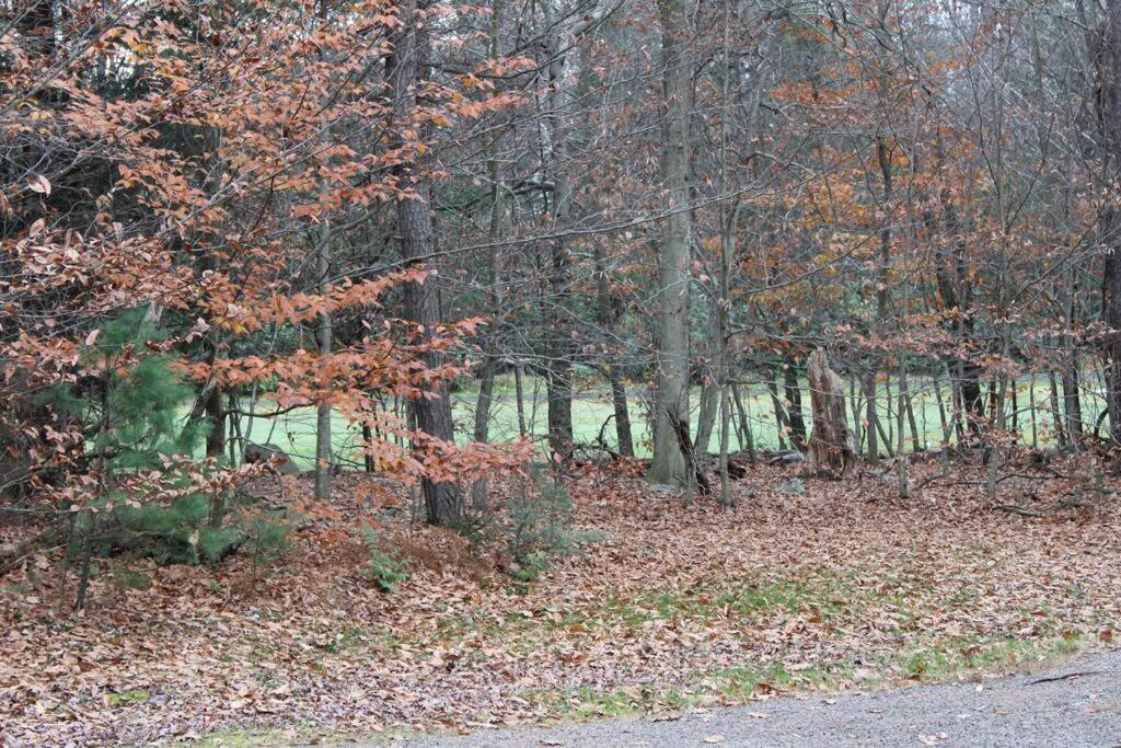 Luxury 4 Bedroom House In Pocono Mountains In Golf Course Near Lake Tobyhanna ภายนอก รูปภาพ